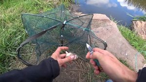 ПЬЯНЫЙ ПОПЛАВОК на КАРАСЯ + РЕЦЕПТ ФЕРМЕНТИРОВАННОЙ ПШЕНИЦЫ / рыбалка на карася.#рыбалка #карась