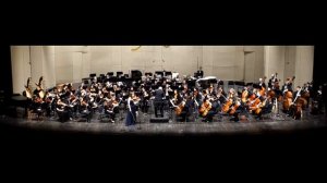 Béla Bartók Violin Concerto No. 1, Sz. 36, II. Allegro giocoso - Hannah Linz
