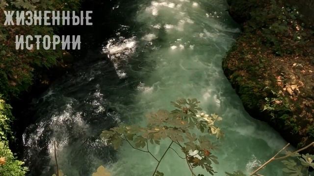 После потери ещё не родившейся племянницы - жизнь дала трещину смотреть онлайн