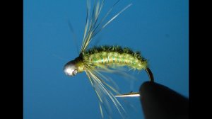 Holey Head Olive Polish Nymph.