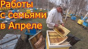 Состояние семей, весенние работы! РЕВИЗИЯ и СТИМУЛЯЦИЯ