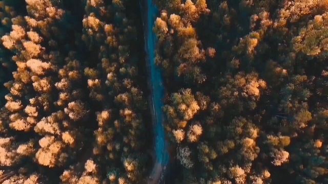 ПОХОРОНЫ МАМЫ С АВАЛОНОМ. ВИТАЛИК И АНГЕЛИНА.