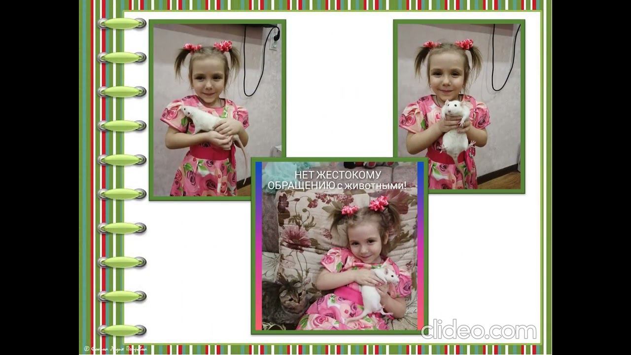 Марафон «Животные из приюта – это круто» смотреть онлайн