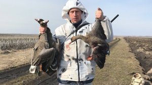 Охота на Гуся ПОДГОТОВКА Заряжаю патроны МагНум goose hunting