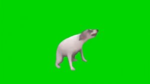 СОБАКА ТАНЦУЕТ МЕМ 10 МИНУТ! ФУТАЖ GREEN SCREEN
