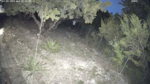 DS-2CD2087G2 vs IPC-HFW2831T-ZAS-S2 night time compare (DS-2CD2087G2 view)