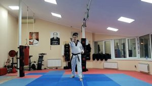 пумсе 3 Тэгук сам джан