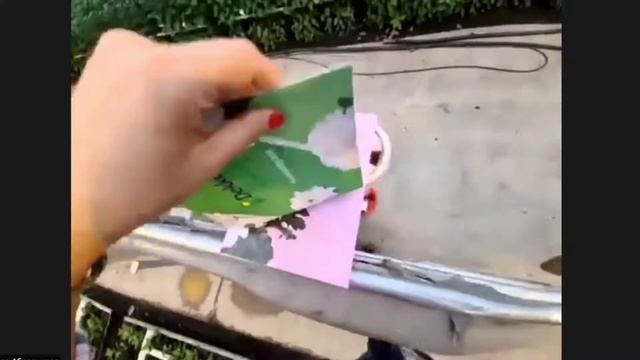 Новые сорта хризантем компании "Dekker Chrisanten" смотреть онлайн