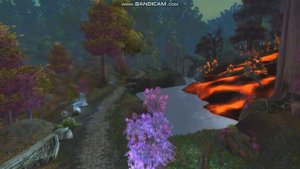 6 причин выбрать друида в WoW Classic