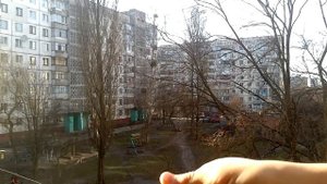 Как сделать рогатку из бутылки