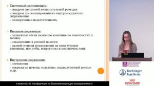 Кальцивироз у кошек - лекция