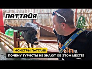 Реально 2 головы! Я думал развод. Почему туристы не знают об этом месте? Monster Aquarium в Паттайе.