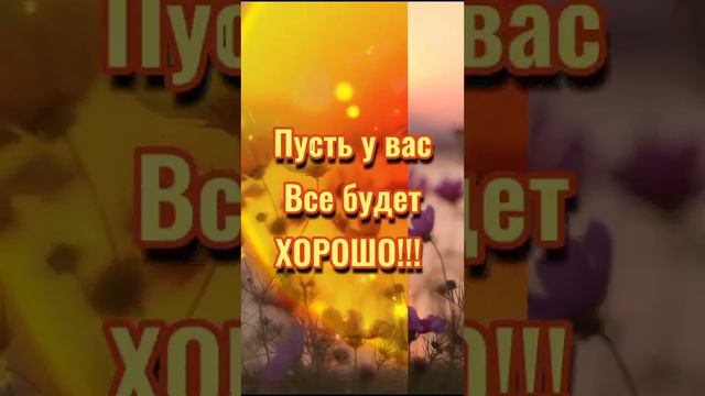 Добрый вечер и спокойной ночи!