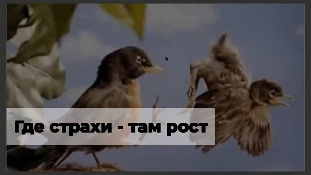 Встреча #2 участников Марафона 4.0 «Привычки на всю жизнь» от сообщества "Окружение" смотреть онлайн