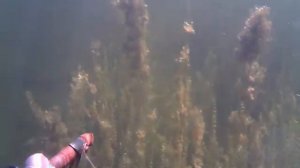 Верхнеуральское водохранилище