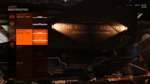 Elite Dangerous How to Name your SHIP