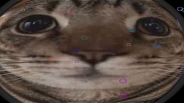 veganska lazka - ofycial videoklyp (slozil: tomandes, editoval: tomandes, videoklyp obsahuje: pipin смотреть онлайн