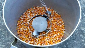 Как избавиться от грызонов крыс,кротов,хамиков.