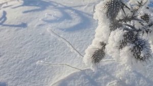 Музыка, природа, зима. #Music, #winter, #nature.