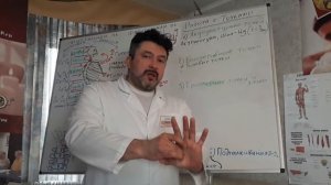 Работа с точками: Триггерными, Акупунктурными, Биологически активными. В чем различие подходов?