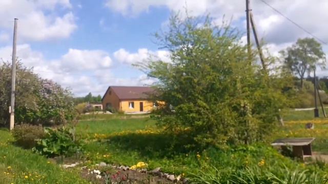 ПОГОДА НЕ ОЧЕНЬ🌧🌝ВСЕ РАСТЕТ И ЦВЕТЕТ👍ПОЗДРАВЛЕНИЕ С ПОСЛЕДНИМ ЗВОНКОМ🌝 смотреть онлайн