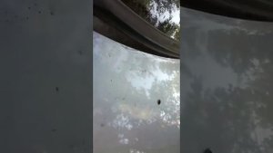 Жесть Ларгус сгнил под жабо за два года на сквозь