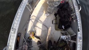 Окунь в сентябре на Иваньковском Водохранилище