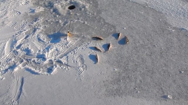 Зимняя рыбалка 12 января 2024, сброс смотреть онлайн