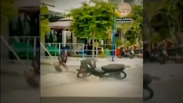 СМОТРИ И СМЕЙСЯ смотреть онлайн