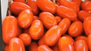 ?Лучшие сорта и гибриды томата для консервирования.???