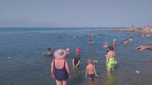 Архипо-Осиповка, дельфин очень близко подплыл к людям