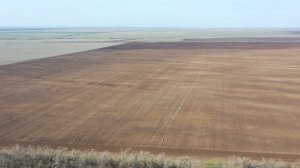 Старая Полтавка обзор полей