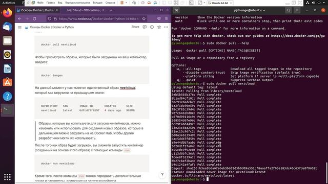 Основы Docker | Docker И Python