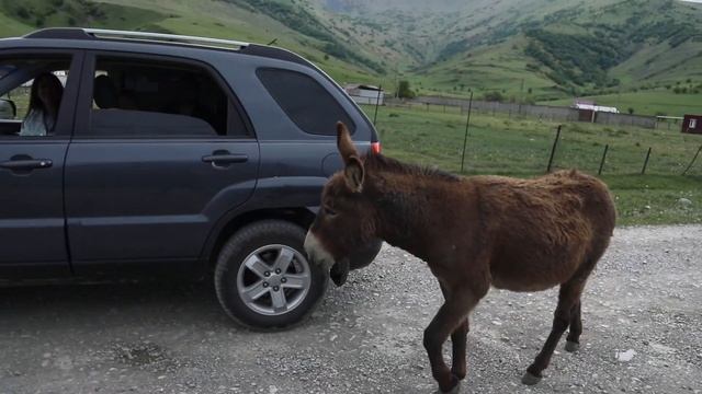 Северная Осетия смотреть онлайн