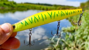 ЭТА ПРИМАНКА БЕЗОТКАЗНО ЛОВИТ ЛЕТОМ! Рыбалка на малой реке на спиннинг в 2024