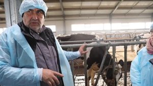 9. Кормовой стол. Видео-урок для фермеров-молочников