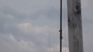 ГОЛУБИ ДУБОВСКИЕ