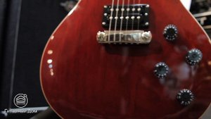 Обзор PRS SE Mark Tremonti