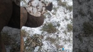 Зимний коп с GMaxx 2 (сново серебро)