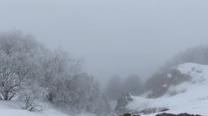 Дорога в горы Чечни
