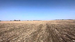 30.09.2023. Начало Сева озимой урожая 2024.