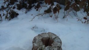 Как сделать финскую свечу/Таежный костер из бревна