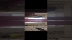 играем на название Алиса