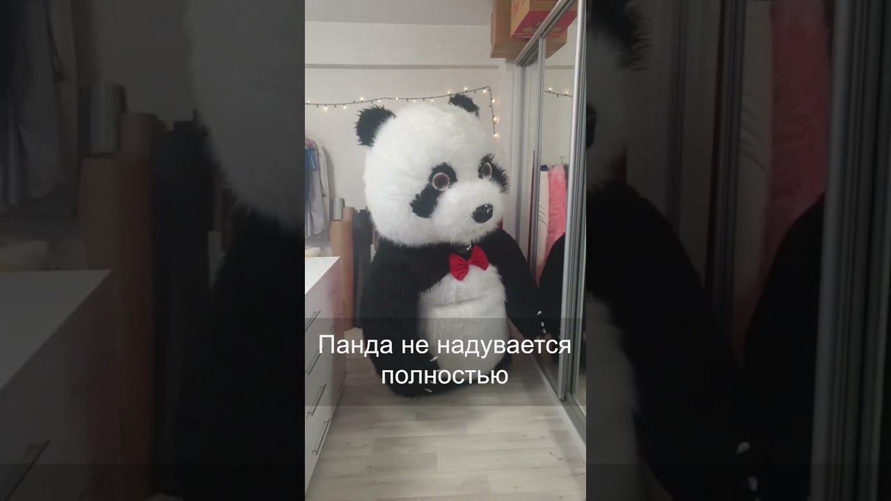 Ремонт китайского надувного костюма панды от нашей мастерской. Часть 1 #панда #белыймишка