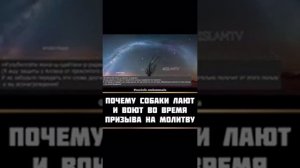 Почему собаки лают и воют во время азана (призыва на молитву)