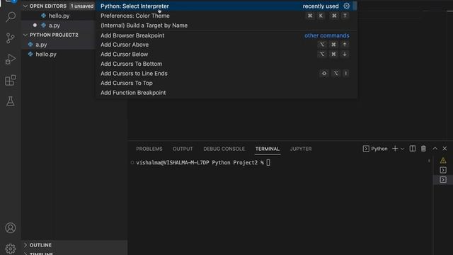How to install Python Interpreter in Visual Studio Code смотреть онлайн