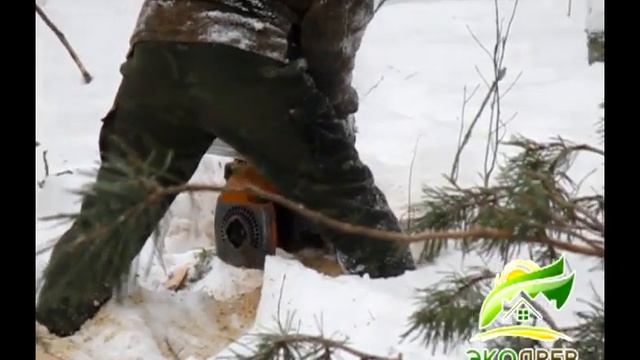 Лесозаготовка вручную. Вальщики леса. "ЭкоДрев"