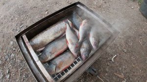 Окунь горячего копчения