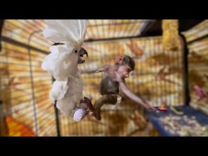 Люську ТОЧНО ПОДМЕНИЛИ! То, что она вытворяет смотреть без ХОХОТА невозможно!