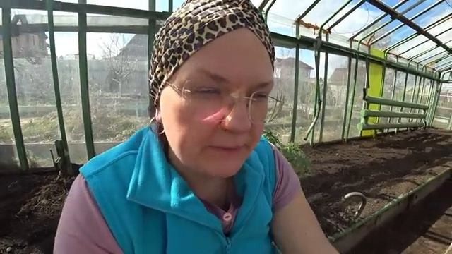 Стоит ли рано высаживать томаты в теплицу? смотреть онлайн